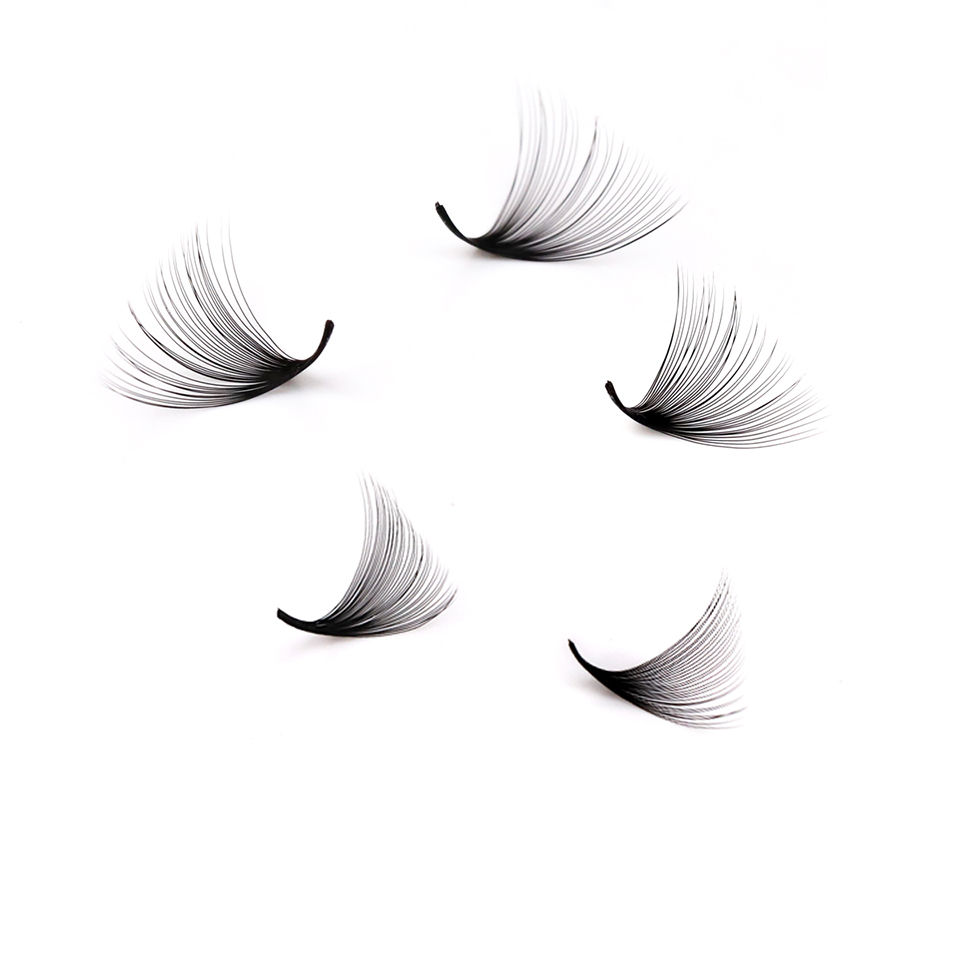 ラッシュプロフェッサーXLトレイ 3D 4D 5D 6D 7 - Eyelash Extension Russian のレビューと価格