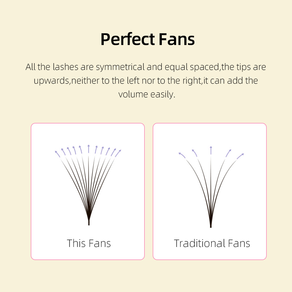 ラッシュプロフェッサーXLトレイ 3D 4D 5D 6D 7 - Eyelash Extension Russian のレビューと価格